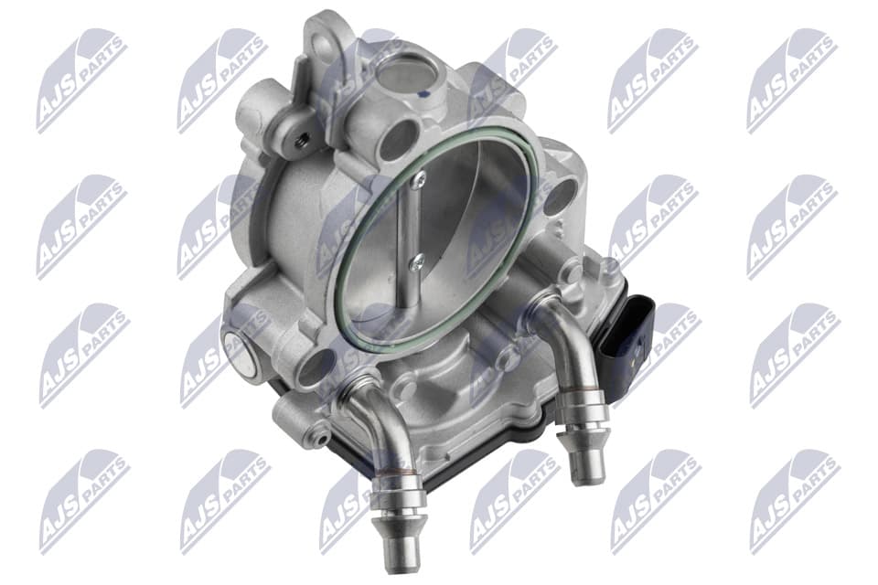 NTY CORPS PAPILLON