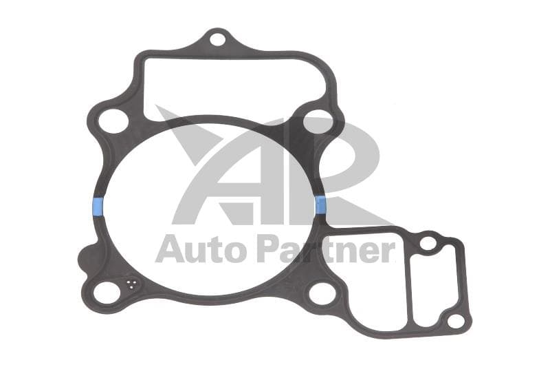 USZCZELKA PODSTAWY CYLINDRA MOTO HONDA SH  / ABS 300 2007-2013 (1EL.)
