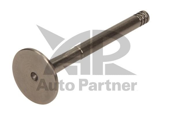 ZAWÓR WYD. VW 1.9D/2.4 8V/10V