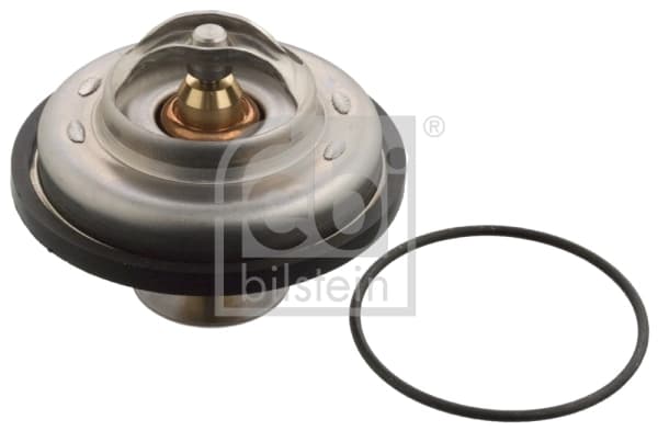 Thermostat d'eau