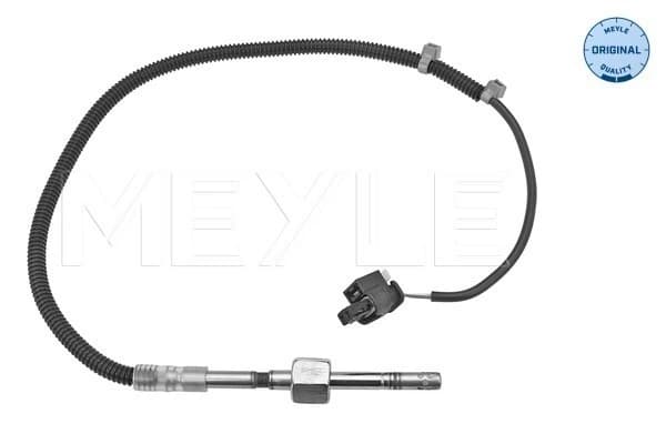 Capteur, température des gaz