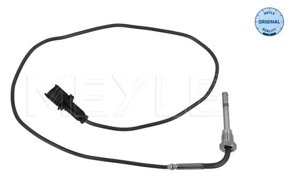 Capteur, température des gaz