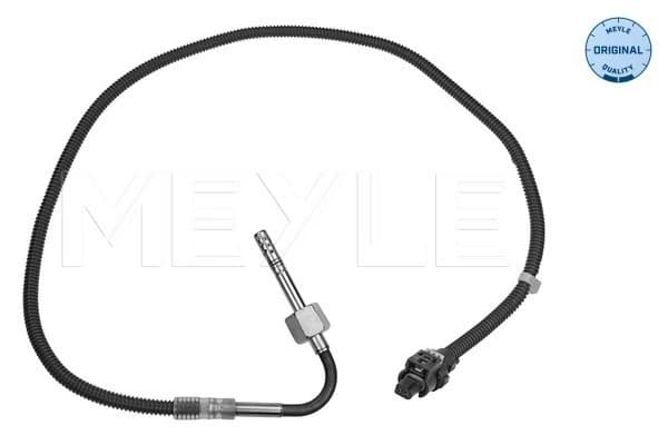 Capteur, température des gaz