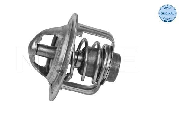 Thermostat d'eau