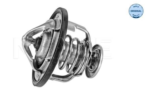 Thermostat d'eau