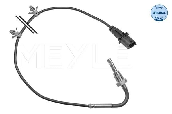 Capteur, température des gaz