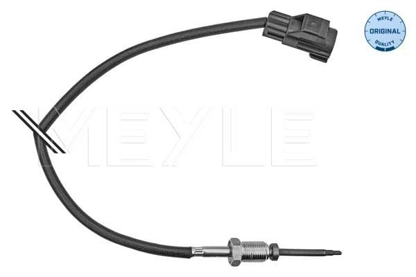 Capteur, température des gaz