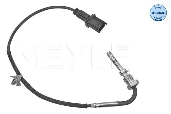 Capteur, température des gaz