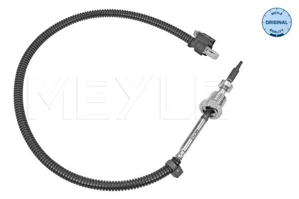 Capteur, température des gaz