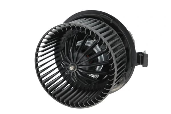 Pulseur d'air habitacle