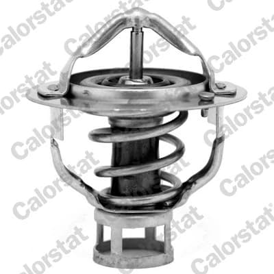Thermostat d'eau