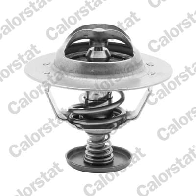 Thermostat d'eau