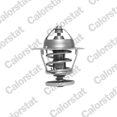 Thermostat d'eau