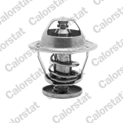 Thermostat d'eau