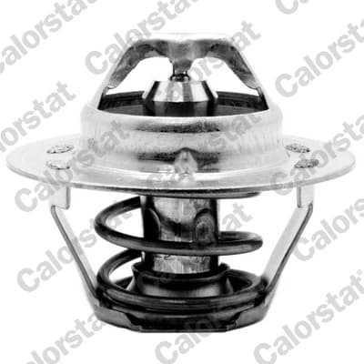Thermostat d'eau