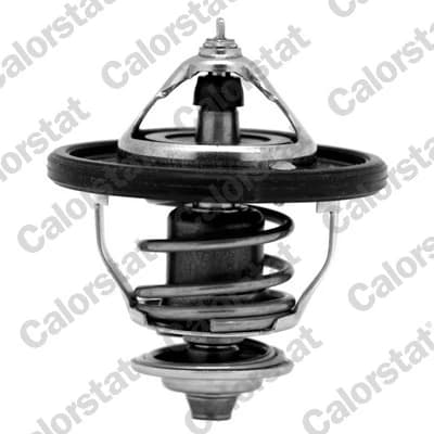 Thermostat d'eau