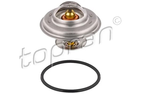 Thermostat d'eau