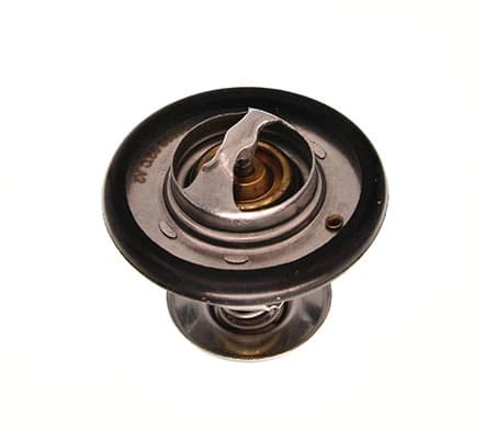 Thermostat d'eau
