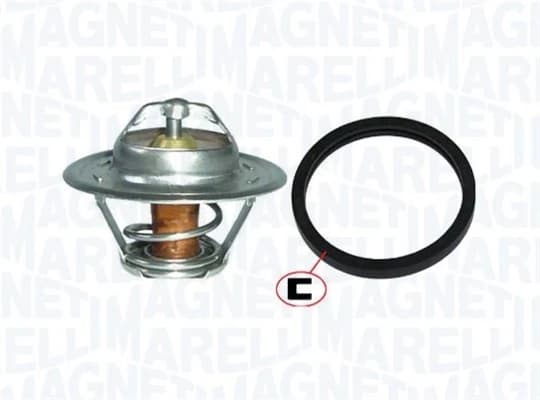 Thermostat d'eau