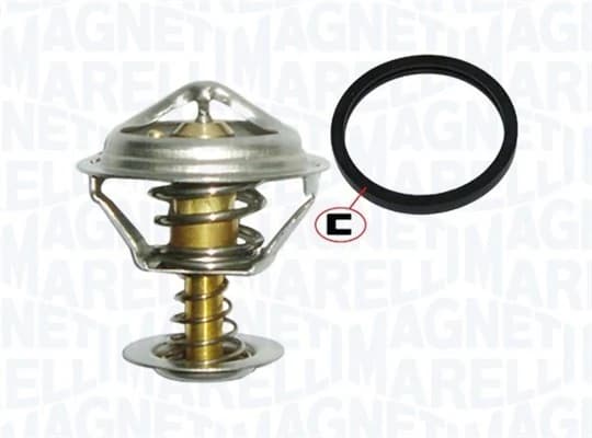 Thermostat d'eau