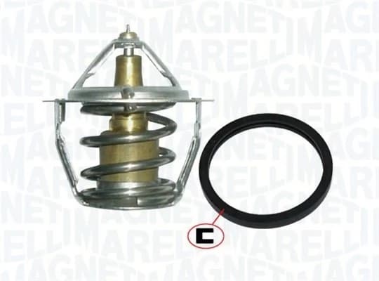 Thermostat d'eau