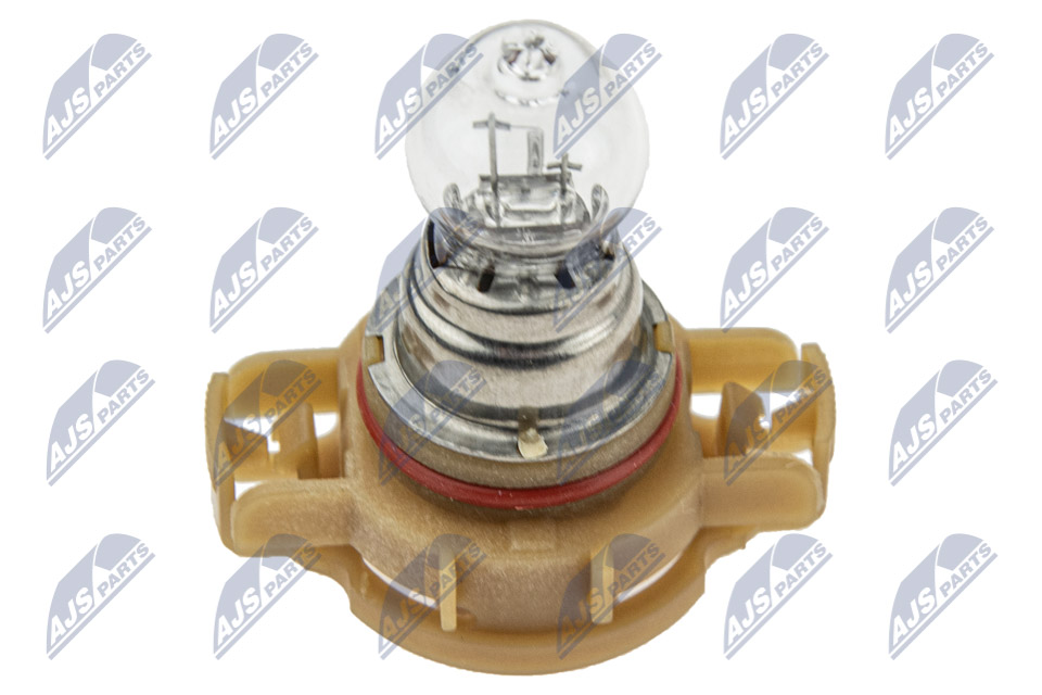 NTY (OPAKOWANIE 10 SZT.) AMPOULE PS24W